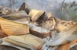 Massacre au Congo : Au moins 31 catholiques tués lors d’une veillée de prière