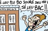 La découverte du siècle : « on donne le bac ! « , par Claude Meunier-Berthelot