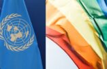 Un rapport de l’ONU appelle à l’interdiction du changement de sexe des enfants