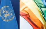 Un rapport de l’ONU appelle à l’interdiction du changement de sexe des enfants