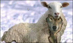 Septième dimanche après la Pentecôte