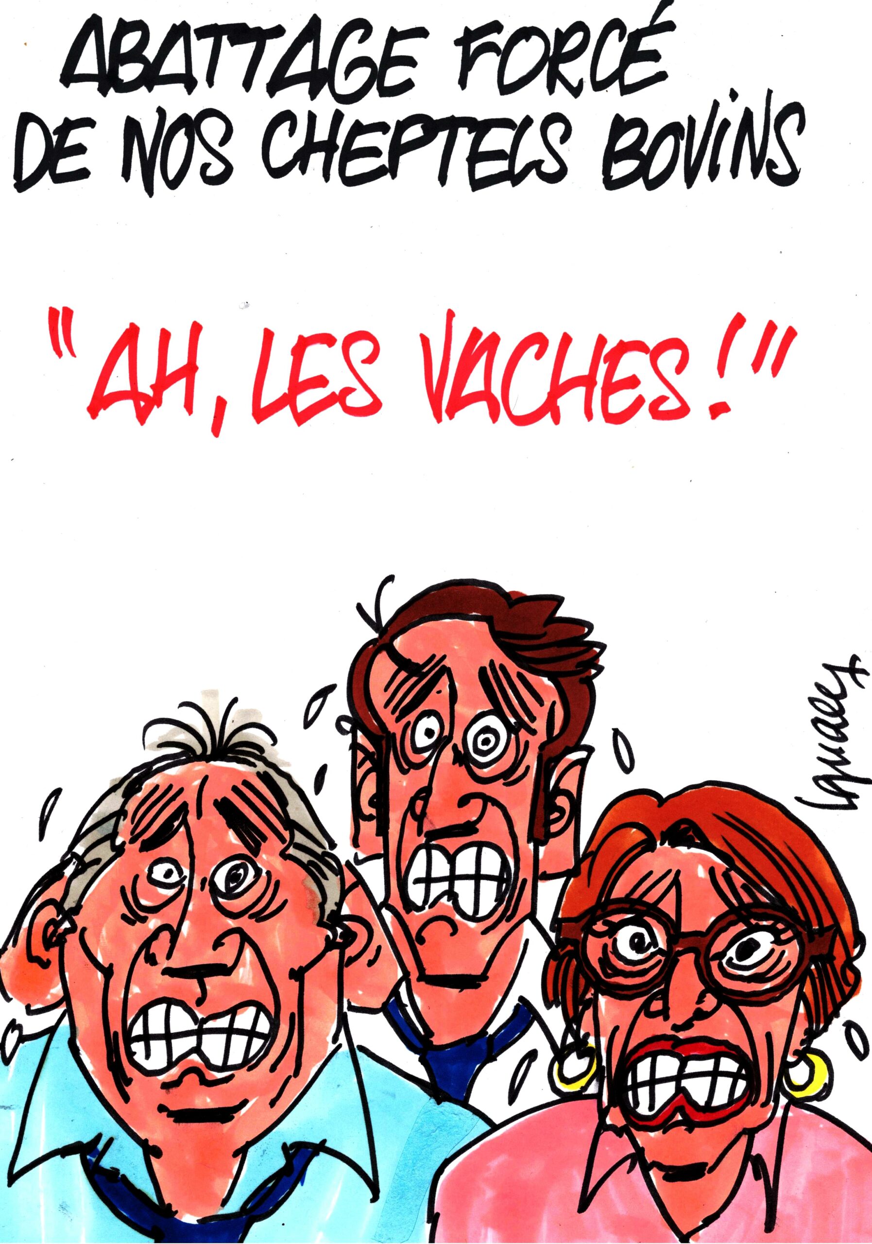 Ignace - Abattage forcé de nos cheptels bovins