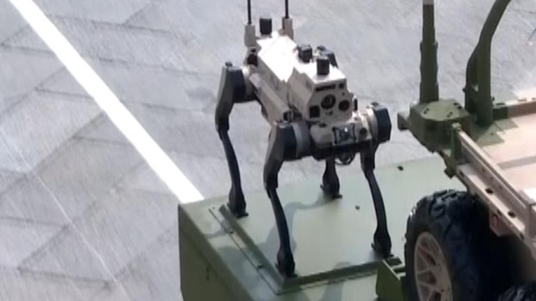 Loups robotiques chinois