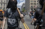 Qui finance les Antifas ? Des réseaux de milliardaires…