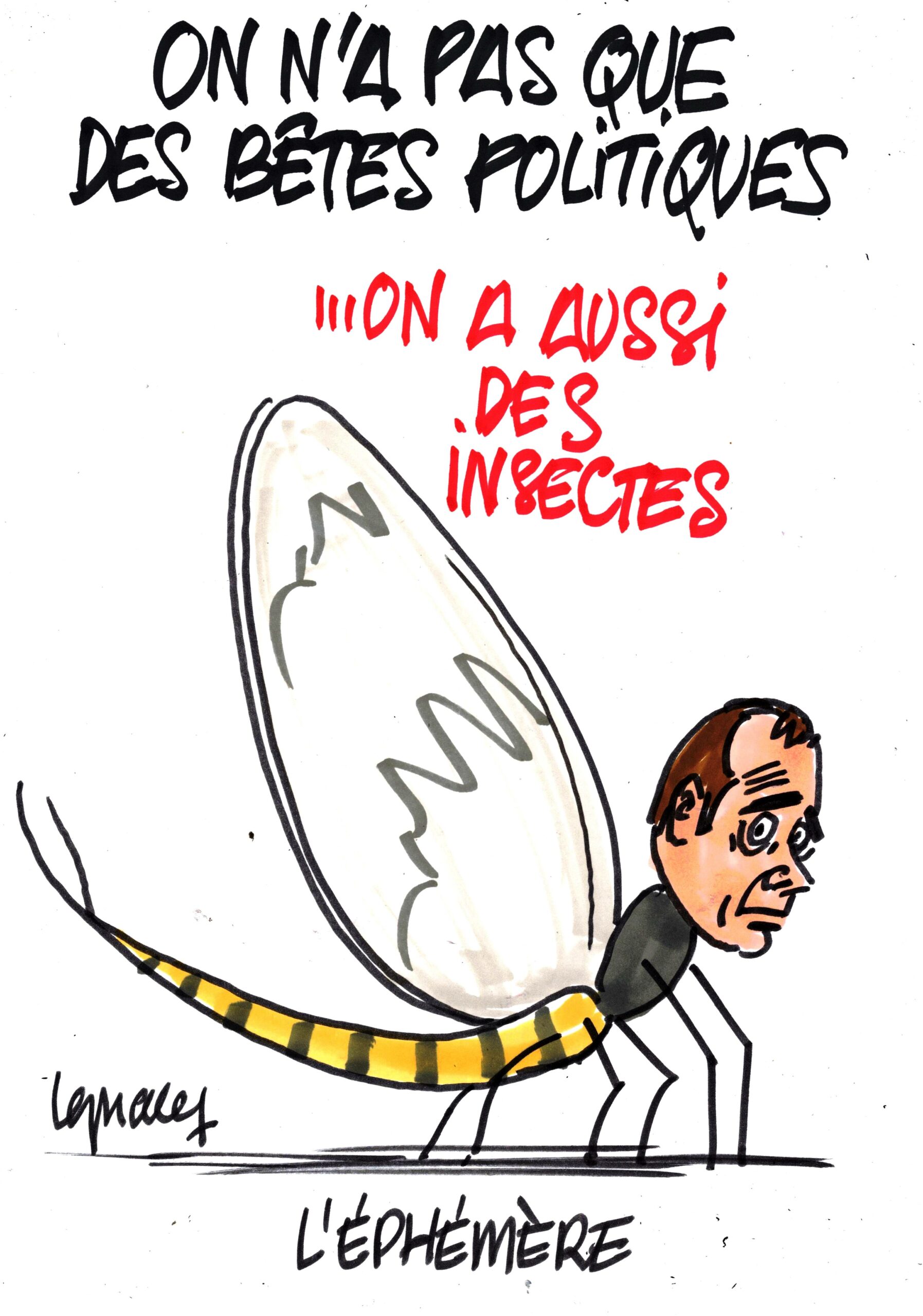 Ignace - Il n'y a pas que des bêtes politiques