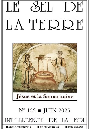 Le Sel de la Terre, numéro 132