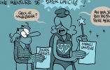 Karine Dubernet : « On ne dit plus vacances de Noël mais interruption hivernale non binaire avec sapin non genré »