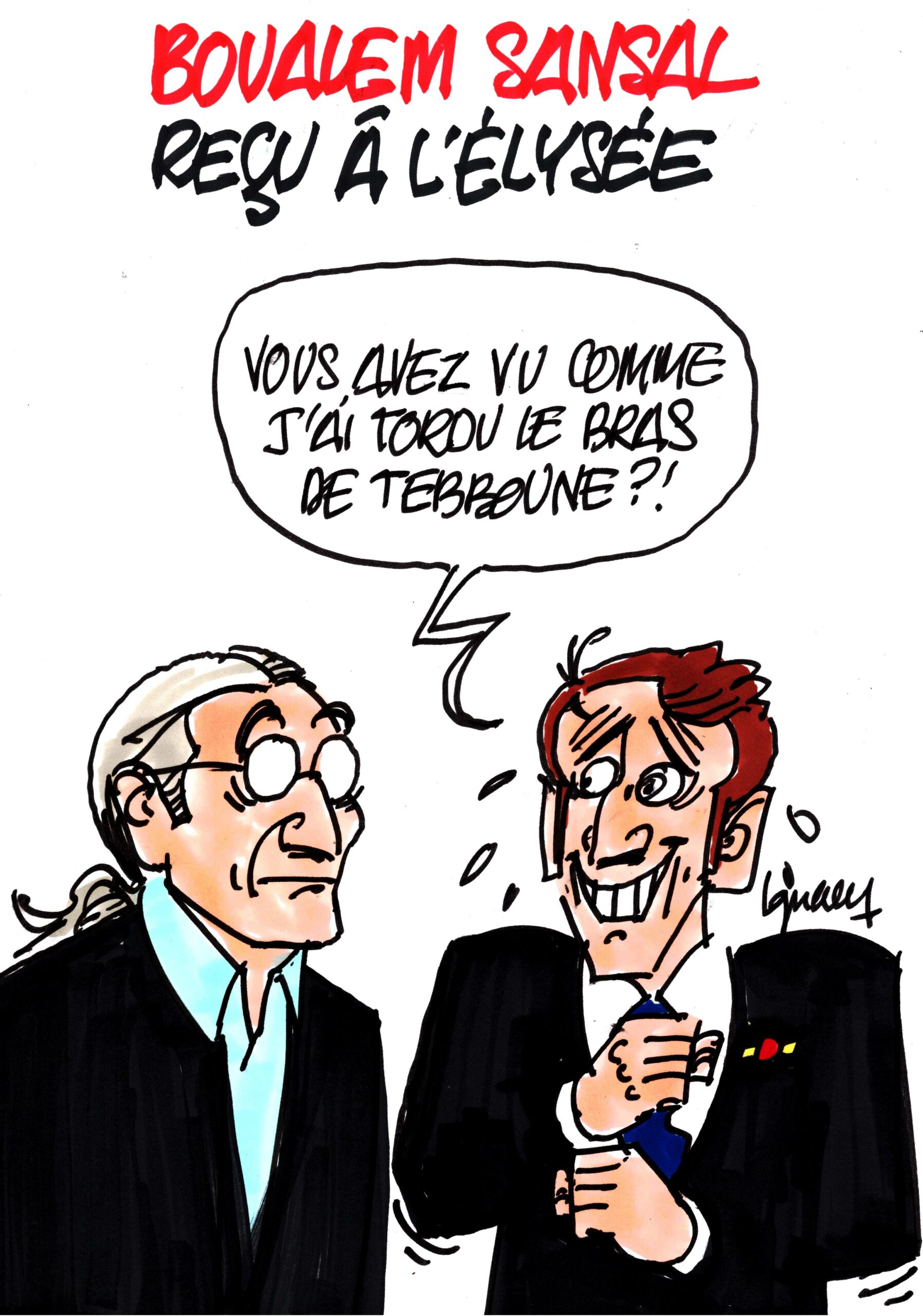 Ignace - Boualem Sansal reçu à l'Élysée