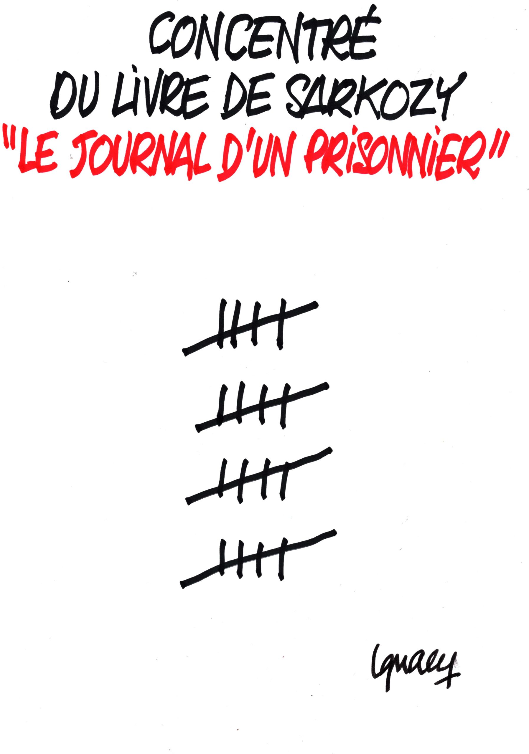 Ignace - Concentré du livre de Sarkozy