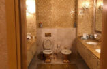 Ukraine – L’affaire des toilettes en or