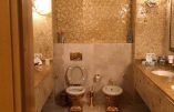 Ukraine – L’affaire des toilettes en or