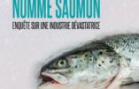Un poison nommé saumon : enquête sur une industrie dévastatrice