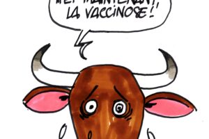 Ignace - Les bovins menacés par la dermatose