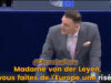 Tomasz Fröhlich, député européen d'Alternative pour l'Allemagne (AFD)
