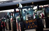 Mgr Carlo Maria Viganò, Archevêque, apporte son entier soutien aux manifestations de protestation des agriculteurs et des éleveurs européens et britanniques