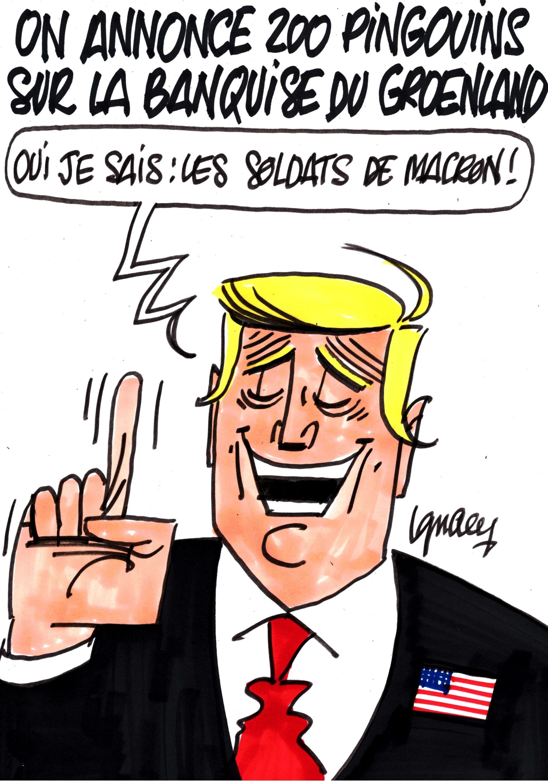 Ignace - 200 pingouins annoncés sur la banquise