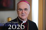 Déclaration et exhortation de Mgr Viganò suite au communiqué publié par le Dicastère pour la Doctrine de la Foi, signé par le Cardinal Fernández.