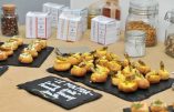 Des insectes dans nos assiettes avec l’entomophagie, par André Murawski