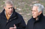 Affaire Epstein : Comment la reine d’Angleterre a protégé le prince Andrew