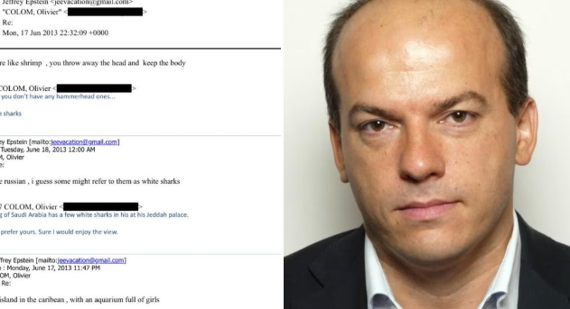 Affaire Epstein : Olivier Colom, de Davos à Marine Le Pen