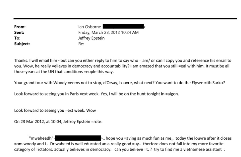 Epstein à l'Elysée