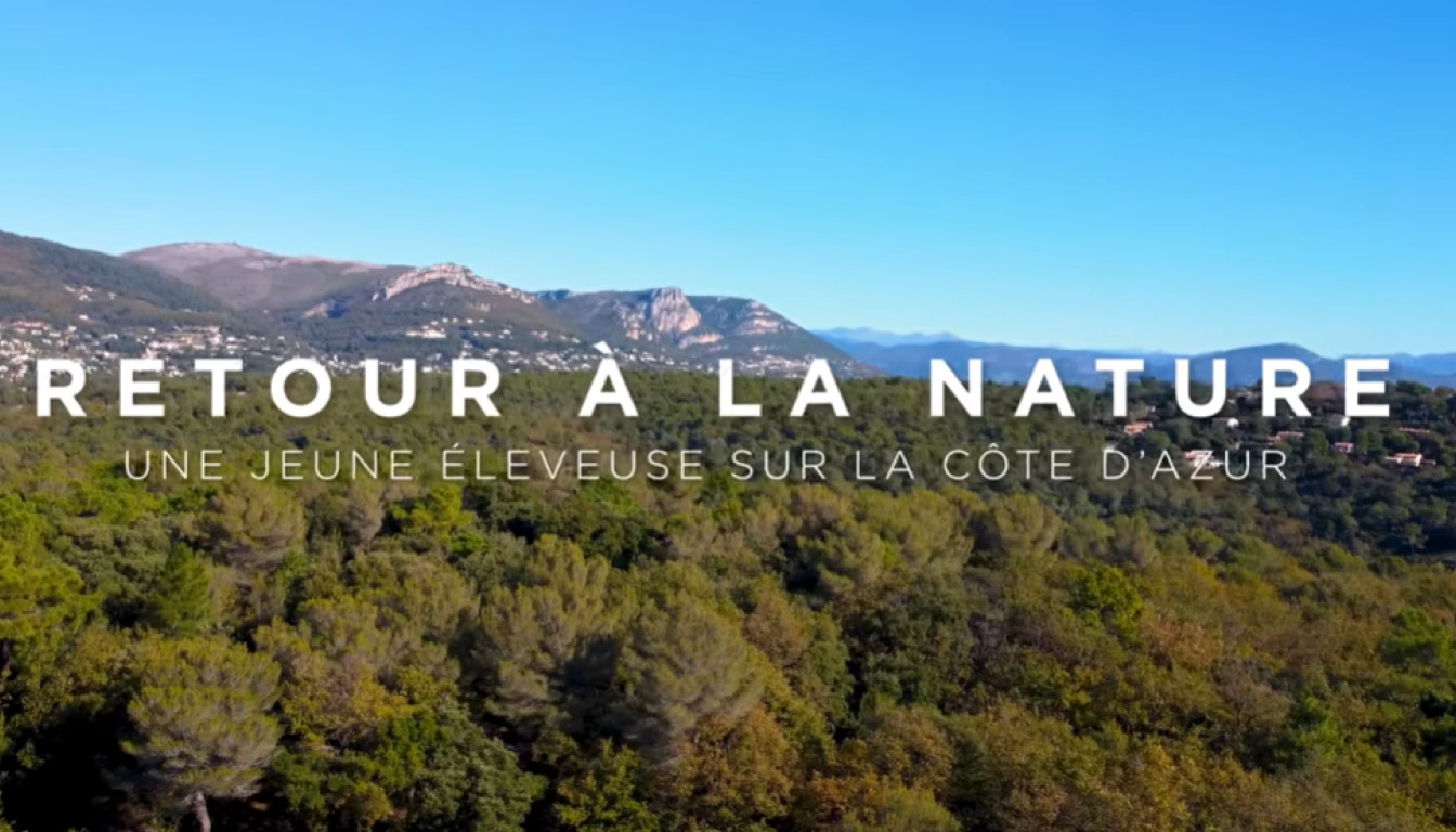 Image de l’article