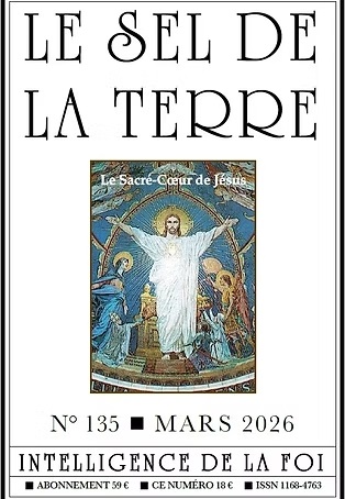 Le Sel de la terre n°135