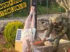 Chapelet public de réparation de la profanation d’un calvaire par un soldat israélien à Nancy samedi 2 mai 2026