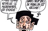 Ignace - L'hantavirus menace !