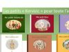 Mes petits livres de l&rsquo;été, Juillet et août d&rsquo;Aurélie Kervizic, pour ne pas oublier le Bon Dieu en vacances !