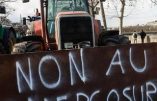 Suisse : le Conseil National rejette le Mercosur
