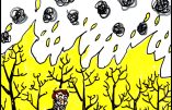 Les incendies sont volontaires et ils viennent d&rsquo;en haut, par Jacques Frantz