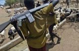Les milices peules ont supplanté Boko Haram comme groupe terroriste le plus meurtrier du Nigeria